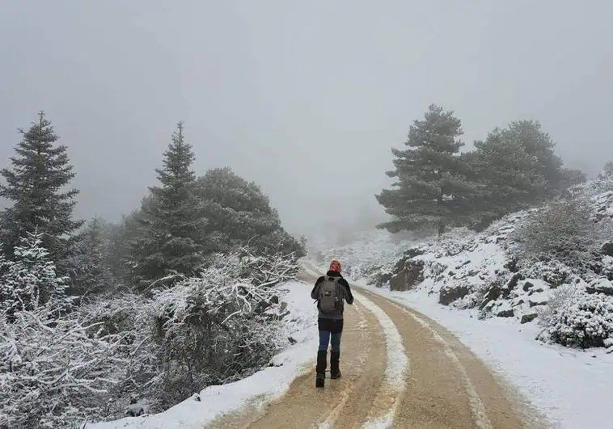 Snow Peak - snow peak×WIND AND SEA  Blanket snow peak×WIND AND SEA Blanket（Glacier and Perennial